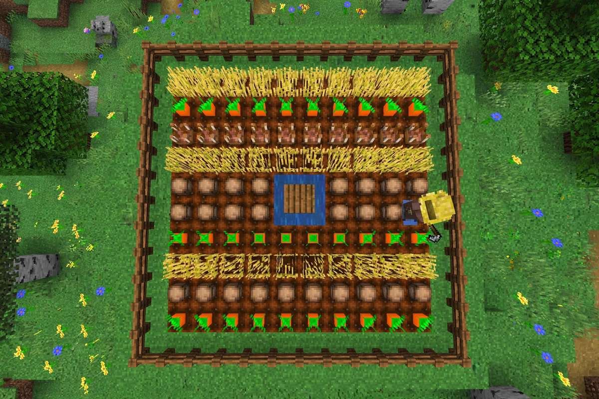 A 9x9 crop farm in Minecraft with one central water block and alternating rows of wheat, carrots and potatoes